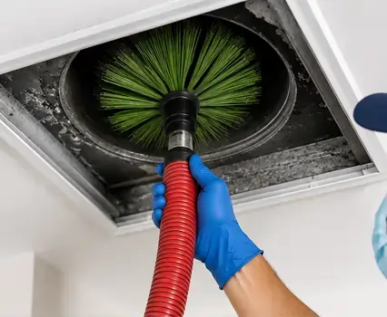 Air duct mold remediation service